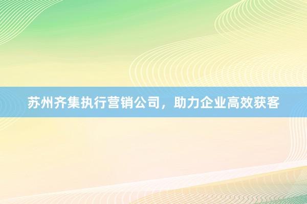 苏州齐集执行营销公司，助力企业高效获客