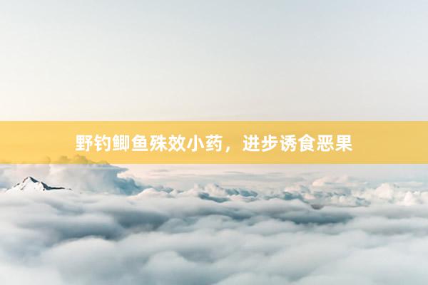 野钓鲫鱼殊效小药，进步诱食恶果